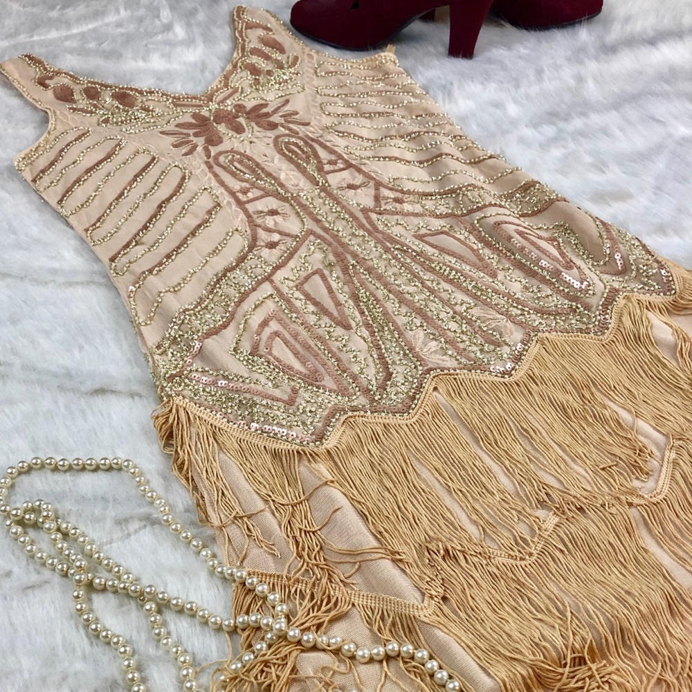 1920’s Flapper Dress - Decorative Costume!